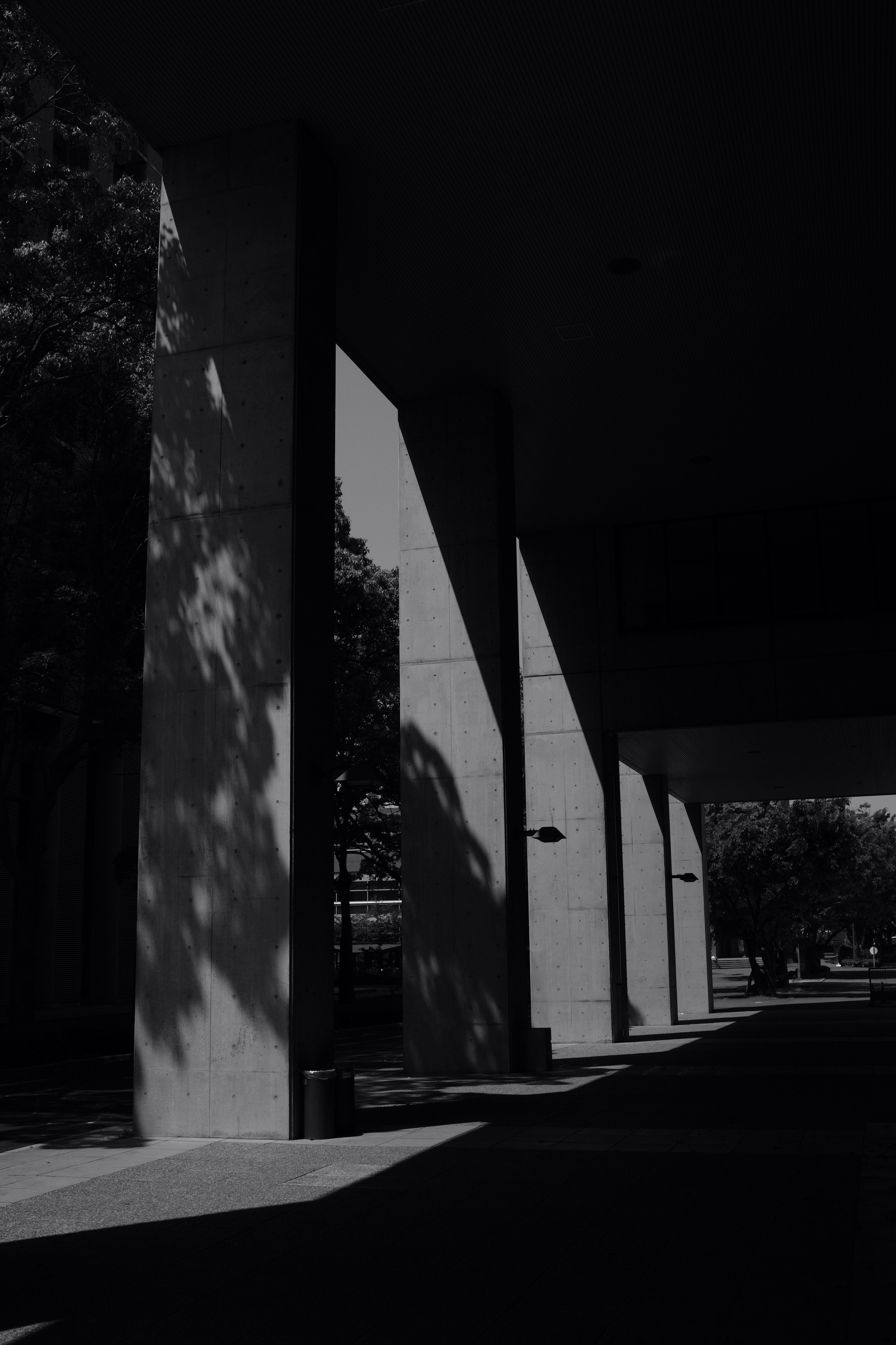 grayscale photo of concrete pillars